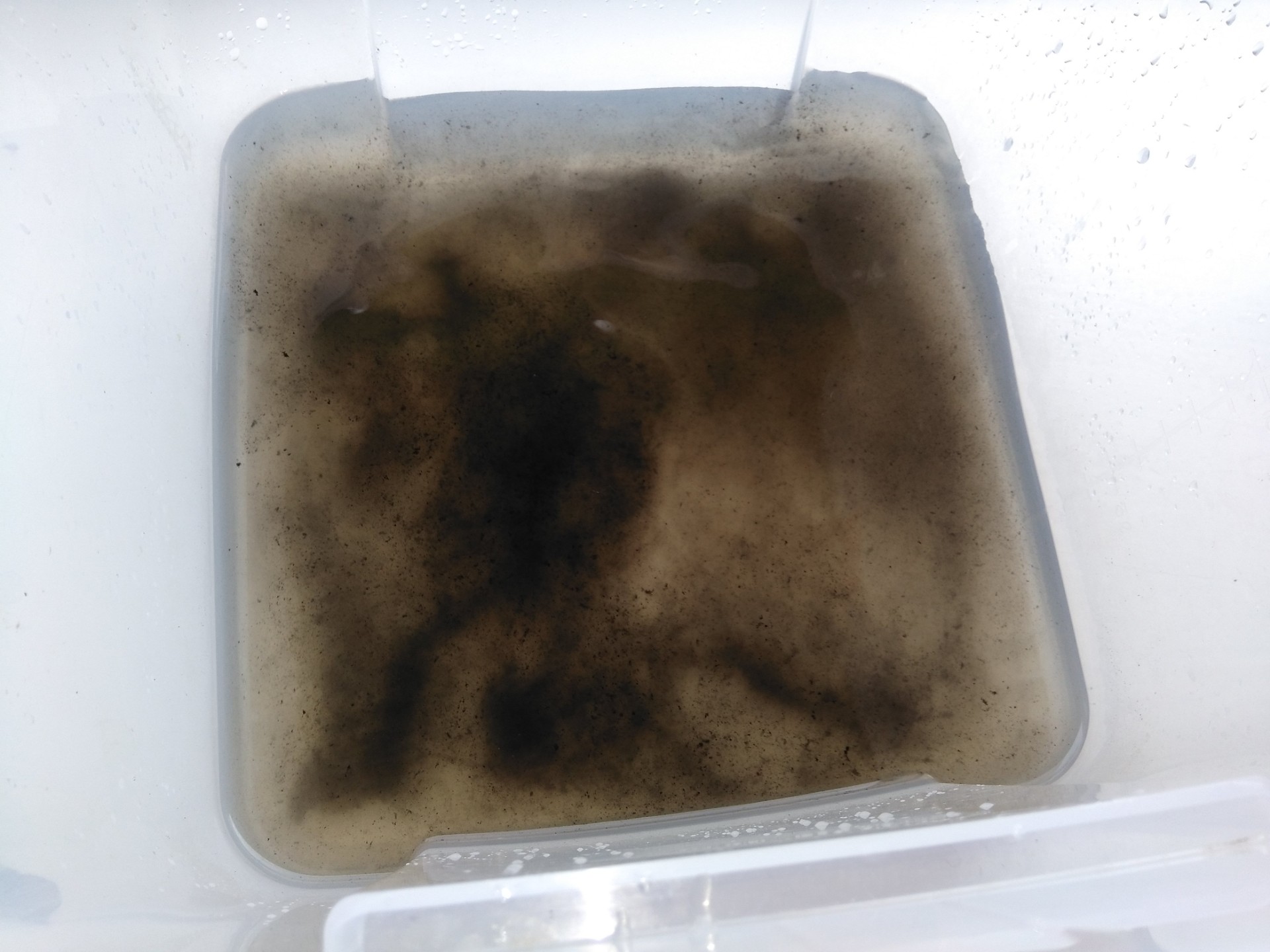 エアコンクリーニング旭川 猛暑対策オゾン水エアコンクリーニングは除菌・カビの抑制になる。予約受付中! エアコンクリーニング旭川 猛暑対策オゾン水エアコンクリーニングは除菌・カビの抑制になる。予約受付中!